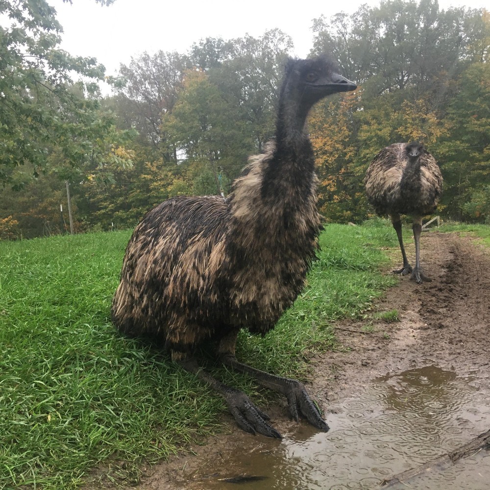 Meet your Posher, Fleur